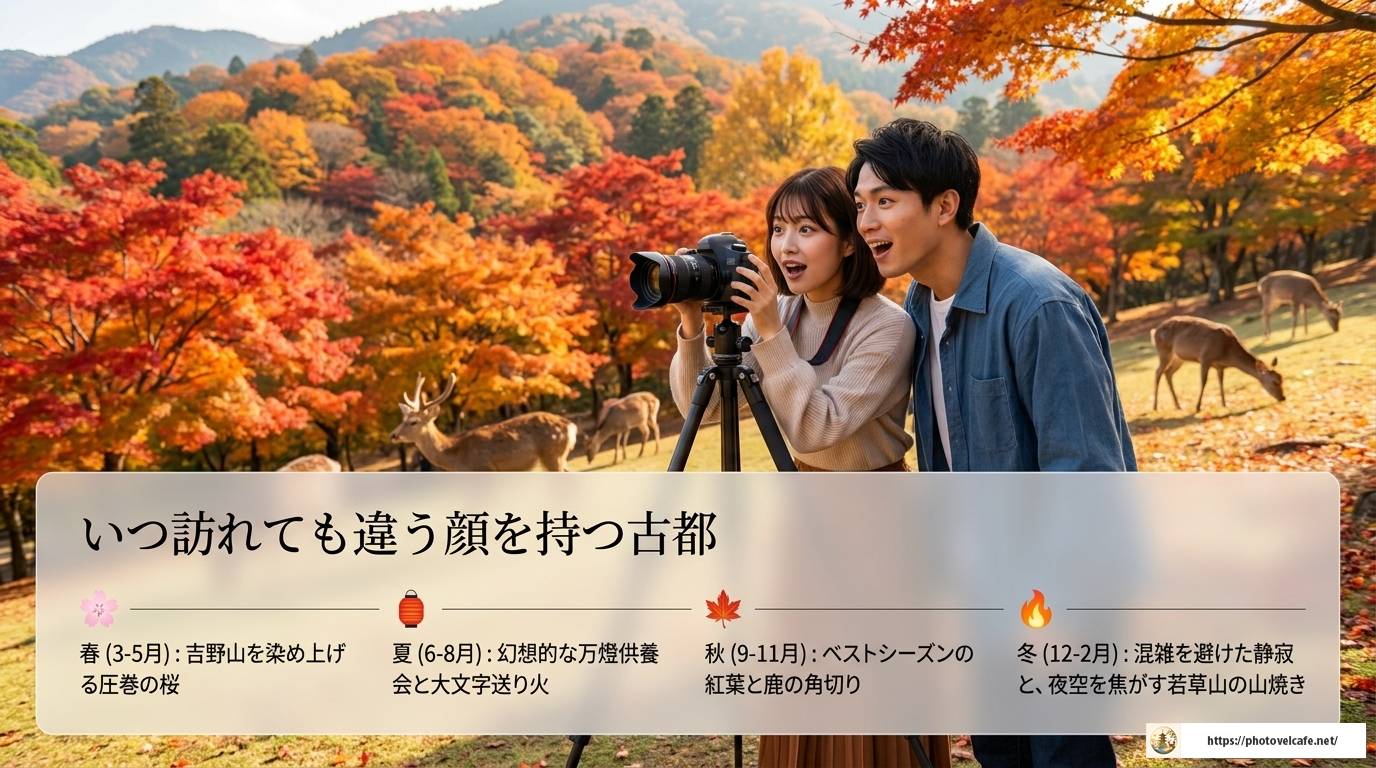 奈良観光がつまらないと感じる理由と魅力再発見ガイド