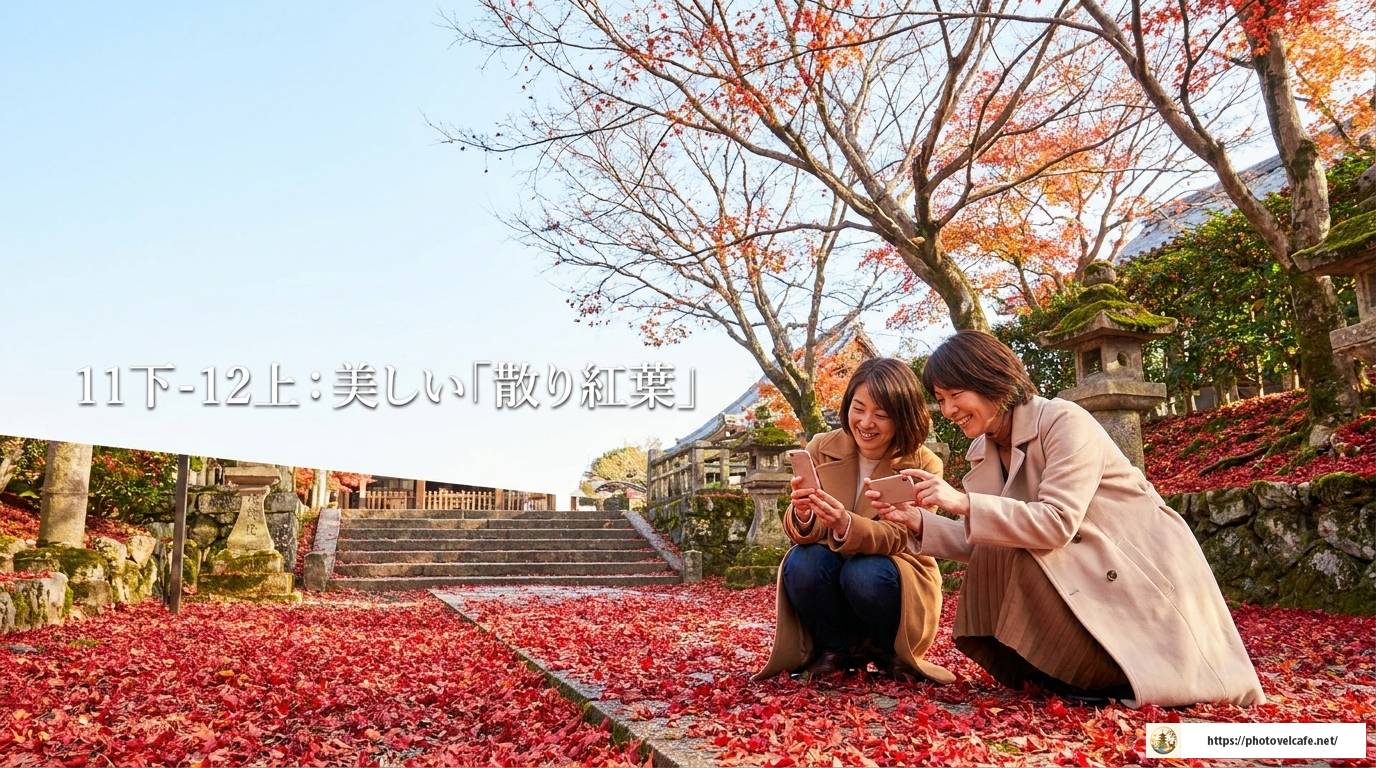 京都観光の閑散期はいつ？混雑を避けるベストシーズン完全ガイド