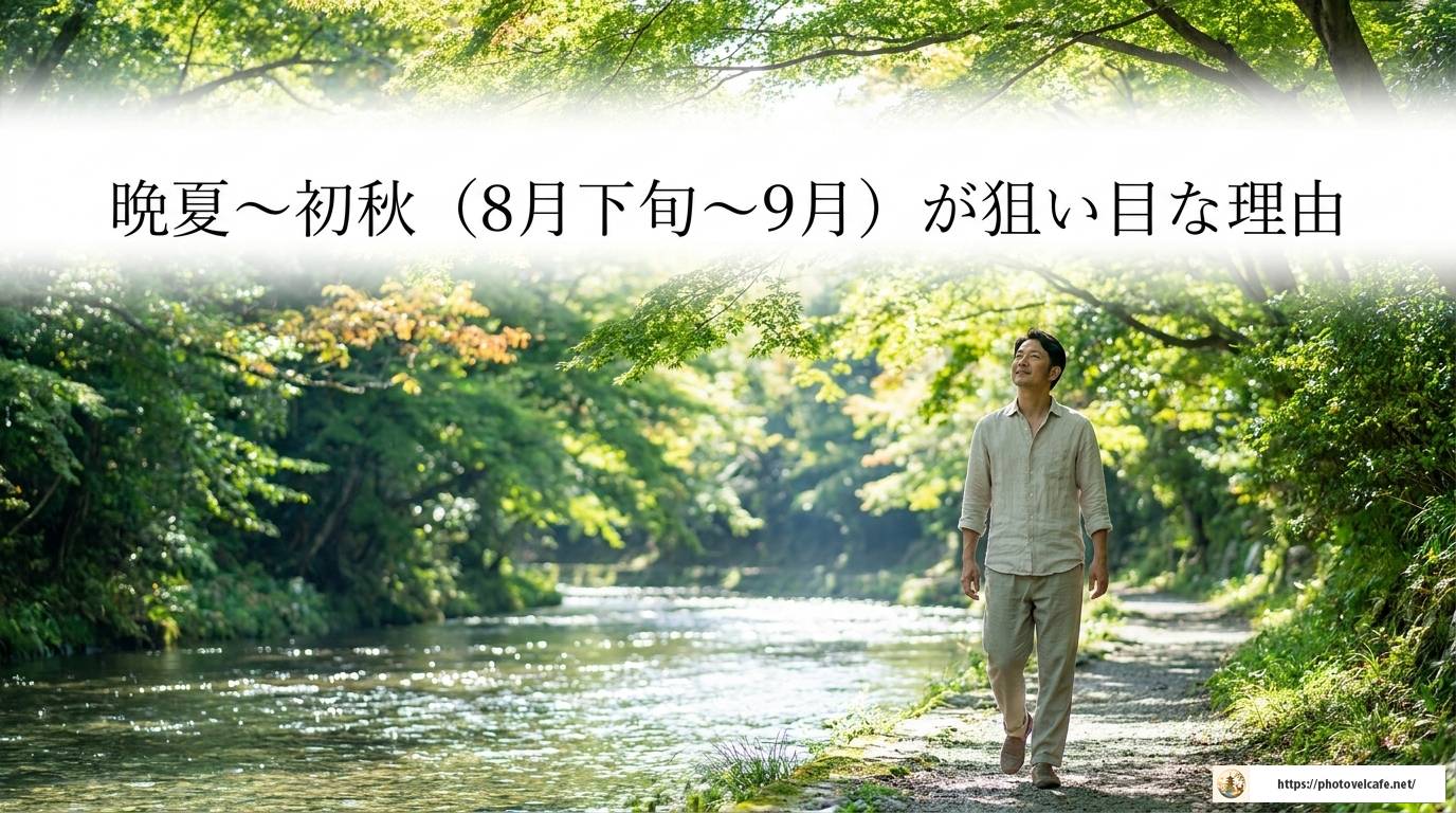 京都で観光客が少ない時期を賢く狙う完全ガイド