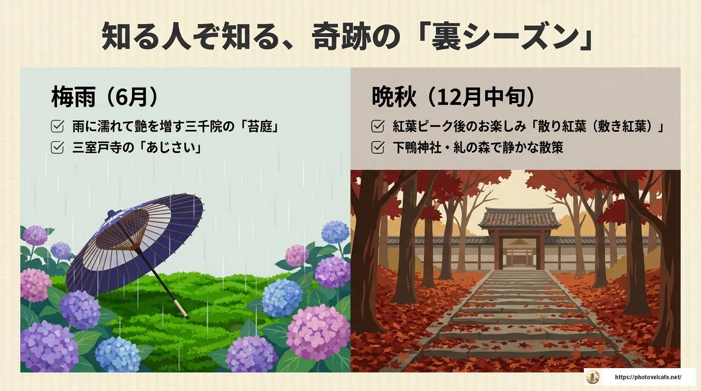 京都観光のおすすめ時期を季節別に完全ガイド！
